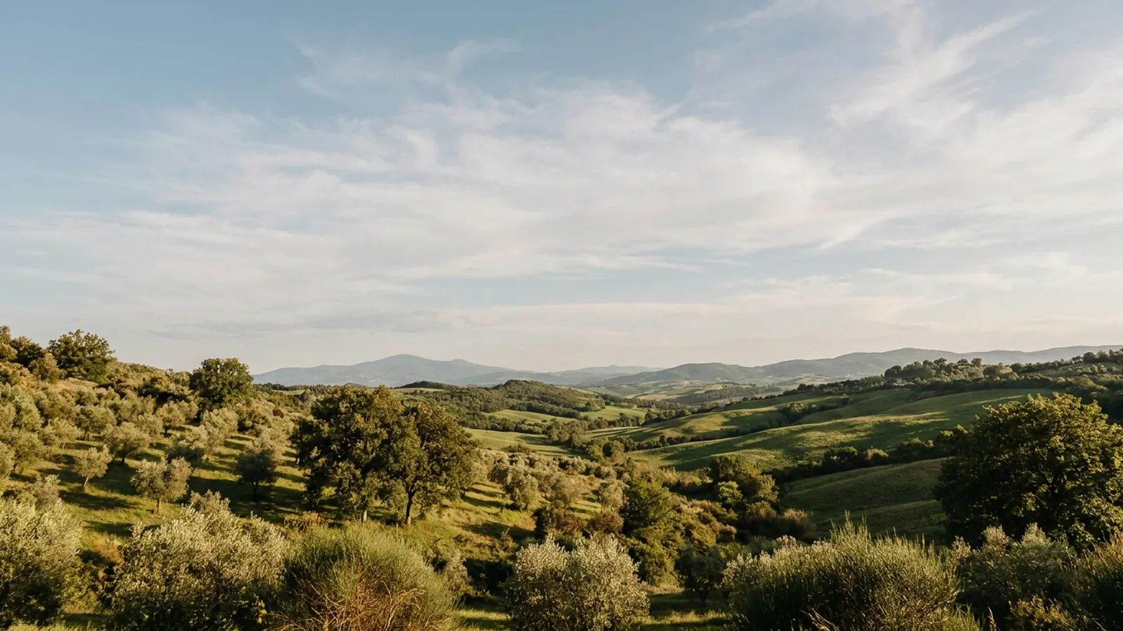 Serene natural landscape with lush greenery and distant mountains near Barcelona